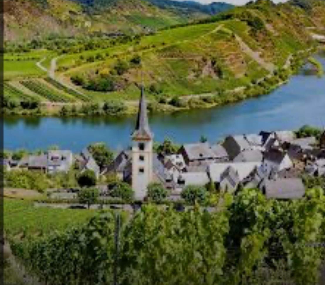Ferienwohnung Eifel Mosel Hunsrueck Bergweiler Экстерьер фото